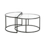 Luna Nested Coffee Table, Set of 2