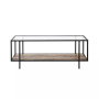 Vireo Coffee Table with Shelf, 45" x 20"