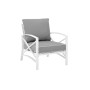 Kaplan Arm Chair