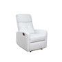 Samedi Recliner