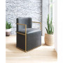 28" Metal, Polyurethane Xander Accent Chair