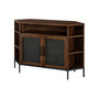 Industrial Mesh Door Corner TV Console