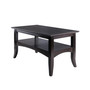 Camden 18.11" Wood Coffee Table