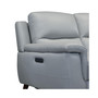 Lizette Reclining Sofa