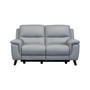 Lizette Reclining Loveseat