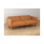 Camden Convertible Sofa Bed