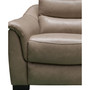 Shelly Leather Power Recliner