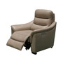 Shelly Leather Power Recliner
