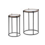 2-Piece Metal And Glass Round Accent Table
