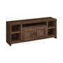 Modern Farmhouse TV Stand with 2 Doors