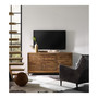 Sage Entertainment Console 64in - missing image