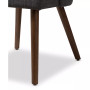 Trixye Dining Chair (Set Of 2)