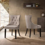 Biltmore Dining Chair (Set Of 2)