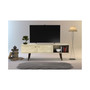 2 Cabinet Mid-Century 63.5" Wood TV Stand