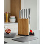 Leo Plastic Knife Sharpener