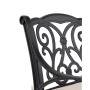 Set of 2 Dining Chairs with Cushions