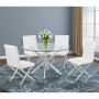 Tempe Dining Chair (Set of 2 )