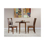 Small Dual Drop Leaf Table With 2 San Remo Chairs