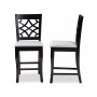 Nisa Counter Stool (Set of 2)