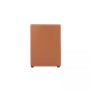 Anna 22.83" L Faux Leather Upholstered Square Dining Armchair