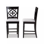 Arden Counter Stool (Set of 2)
