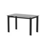 Modern tempered glass black dining table, simple rectangular metal table legs living room kitchen table