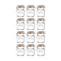 Spice Jar 2.4 oz, Set of 12