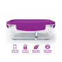 Small Divided Glass Food Storage Container