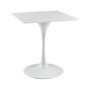 Lippa 28" Square Wood Top Dining Table