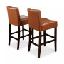 Dawken Counter Stool (Set Of 2)