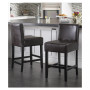 Dawken Counter Stool (Set Of 2)