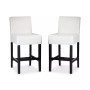 Dawken Counter Stool (Set Of 2)