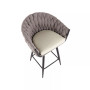 Braided Matisse Contemporary Counter Stool, Set of 2