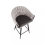 Braided Matisse Contemporary Counter Stool, Set of 2