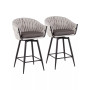 Braided Matisse Contemporary Counter Stool, Set of 2