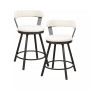 Cabezon Counter Height Swivel Stool (Set of 2)