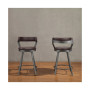 Cabezon Counter Height Swivel Stool (Set of 2)