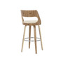 Cecina Mid-Century Modern Barstool with Swivel, Set of 2