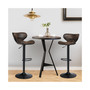 Set of 2 Adjustable Bar Stools Swivel Bar Chairs Pub Kitchen