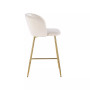 Fran Contemporary Counter Stool, Set of 2