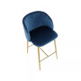 Fran Contemporary Counter Stool, Set of 2
