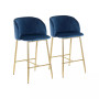 Fran Contemporary Counter Stool, Set of 2