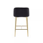 Fran Contemporary Counter Stool, Set of 2