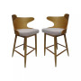 Karlin Mid Century Modern Barstools (Set of 2)