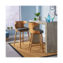 Karlin Mid Century Modern Barstools (Set of 2)