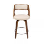 Cecina 24" Counter Stool, Set of 2