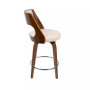 Cecina 24" Counter Stool, Set of 2