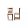 Ramiro Modern and Contemporary Transitional Wood Counter Stool Set, 2 Piece