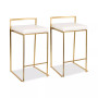 Fuji Counter Stool (Set of 2)