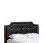 Ashima Modern Queen Bed with Upholstered Headboard